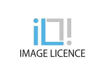 image licence logo